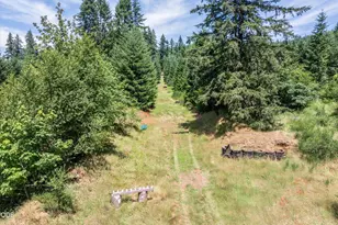 3805 Briar Knob Loop NE, Scotts Mills, OR 97375 - Photo 36