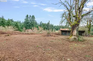 3805 Briar Knob Loop NE, Scotts Mills, OR 97375 - Photo 42