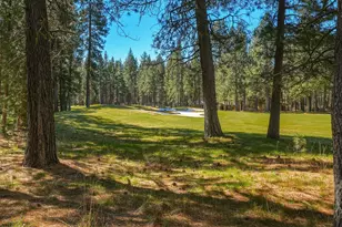13137 Hawks Beard, Black Butte Ranch, OR 97759 - Photo 48