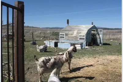 24086 Yellow Jacket Springs Road, Beatty, OR 97621 - Photo 8