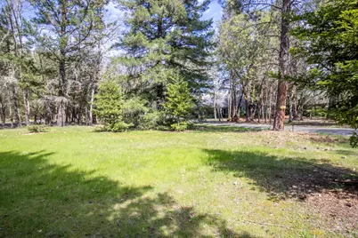 185 Starflower Way, Merlin, OR 97532 - Photo 58