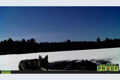 0 Depot Street #2810-00000-00300, Chemult, OR 97731 - Photo 34