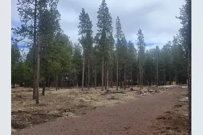 55540 Big River Drive, Bend, OR 97707 - Photo 6