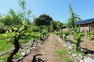 343 Rene Dr, Shady Cove, OR 97539 - Photo 106