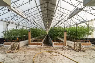 3715 Little Applegate Rd, Jacksonville, OR 97530 - Photo 44