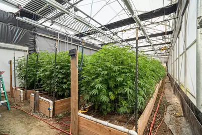 3715 Little Applegate Road, Jacksonville, OR 97530 - Photo 46