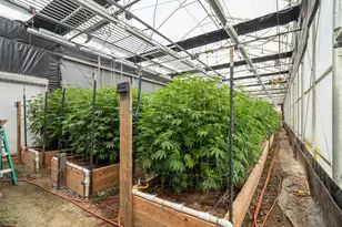 3715 Little Applegate Rd, Jacksonville, OR 97530 - Photo 46