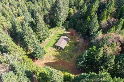 2787 Davis Creek Road, Selma, OR 97538 - Photo 2