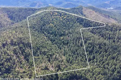 2787 Davis Creek Road, Selma, OR 97538 - Photo 1