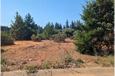 344 Cedar Ridge Drive, Cave Junction, OR 97523 - Photo 1