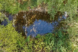 18248 Redwood Hwy, Selma, OR 97538 - Photo 64