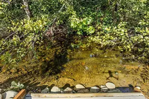 18248 Redwood Hwy, Selma, OR 97538 - Photo 66