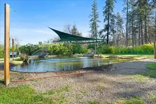 649 Pleasant Valley Rd, Merlin, OR 97532 - Photo 6