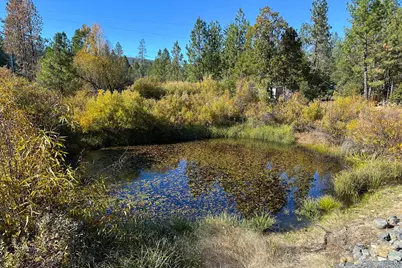 Obrien West #0, O'Brien, OR 97534 - Photo 12