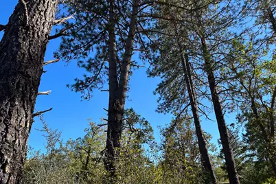 Obrien West #0, O'Brien, OR 97534 - Photo 22