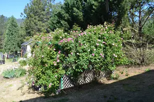 5460 Hwy 238, Jacksonville, OR 97530 - Photo 30