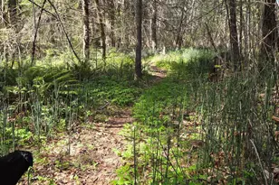 3760 Pleasant Creek Rd, Rogue River, OR 97537 - Photo 30
