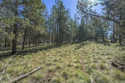 70129 Cayuse Drive, Sisters, OR 97759 - Photo 10