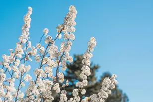 1443 NW Juniper St, Bend, OR 97703 - Photo 44