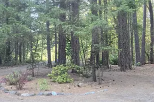 100 Linkhart Dr, Selma, OR 97538 - Photo 16