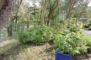 9449 Wagner Creek Rd, Talent, OR 97540 - Photo 62