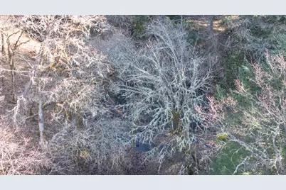 1449 Queen Of Bronze Road, Cave Junction, OR 97523 - Photo 82