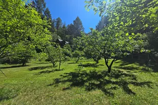 1449 Queen of Bronze Rd, Cave Junction, OR 97523 - Photo 76