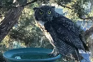 64810 McGrath Rd, Bend, OR 97701 - Photo 16