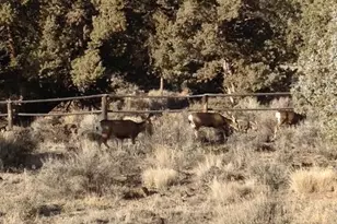 64810 McGrath Rd, Bend, OR 97701 - Photo 20