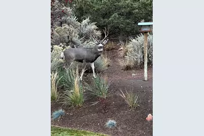 3082 NE Yellowpine Road, Prineville, OR 97754 - Photo 50