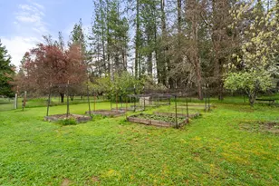 315 Queens Branch Rd, Rogue River, OR 97537 - Photo 30