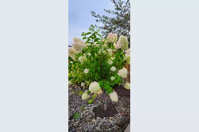 3638 SW 45th Street, Redmond, OR 97756 - Photo 40