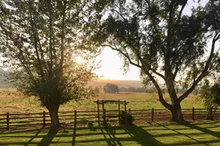 46064 Schoolhouse Rd, Baker City, OR 97814 - Photo 6