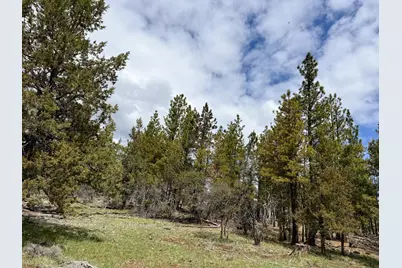 0 Fs 384 Tl 1700, Bonanza, OR 97623 - Photo 14