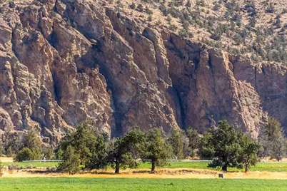 711 NE Good Pasture Loop #LH  43, Terrebonne, OR 97760 - Photo 6