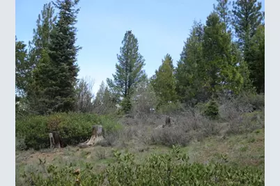 0 Night Owl Drive #2, Bonanza, OR 97623 - Photo 6