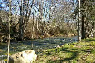 3998 Little Applegate Rd, Jacksonville, OR 97530 - Photo 10