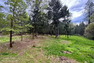 380 Dexter Way, Grants Pass, OR 97527 - Photo 48