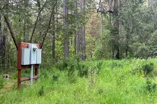 4196 E Evans Creek Rd, Rogue River, OR 97537 - Photo 4