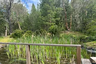 4196 E Evans Creek Rd, Rogue River, OR 97537 - Photo 26