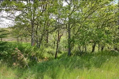 8150 Upper Applegate Road, Jacksonville, OR 97530 - Photo 120