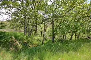 8150 Upper Applegate Rd, Jacksonville, OR 97530 - Photo 120
