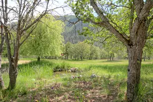 8150 Upper Applegate Rd, Jacksonville, OR 97530 - Photo 66