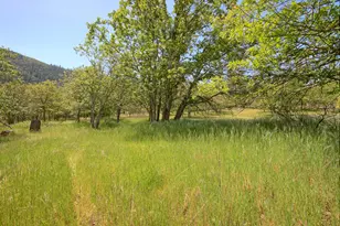 8150 Upper Applegate Rd, Jacksonville, OR 97530 - Photo 118