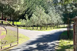 5225 Sterling Creek Rd, Jacksonville, OR 97530 - Photo 14