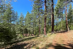 5225 Sterling Creek Rd, Jacksonville, OR 97530 - Photo 128