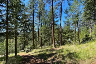 5225 Sterling Creek Rd, Jacksonville, OR 97530 - Photo 126