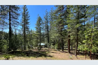 5225 Sterling Creek Road, Jacksonville, OR 97530 - Photo 130