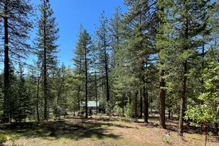 5225 Sterling Creek Rd, Jacksonville, OR 97530 - Photo 130