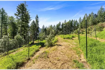 17939 E Evans Creek Road, Rogue River, OR 97537 - Photo 26